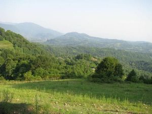 Вид на горы с раскопа. Где-то слева находится город Ткварчел. © Фото Е. Лурье