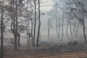 Абхазия — 1. 30–31 июля 2010 г. (дорога туда)