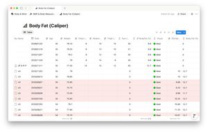 Так это выглядит в Notion на маке