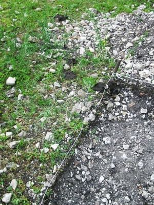 Шурф. Стоило отойти ненадолго, как некая корова совершила «террористический акт» — насрала в него. © Фото А. Кондрашова